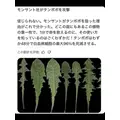 藤本 祐子ママ|長崎市 船大工町のスナック|咲耶(サクヤ)