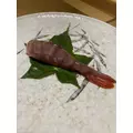 長瀬 純恋|旭川市 3条通りのニュークラブ|THE PENTHOUSE(ザ ペントハウス)