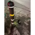 せら|船橋市 本町のキャバクラ|Donfin(ドンフィン)