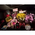 椿|都城市 牟田町のキャバクラ|Jardin(ハルディン)