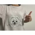 なこ|足立区 千住のキャバクラ|Donfin(ドンフィン)