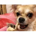 七瀬 みずき|札幌市 すすきののニュークラブ|凛()
