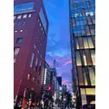さやか|葛飾区 新小岩のキャバクラ|MARVELOUS(マーベラス)