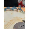 かぐら|小田原市 栄町のガールズバー|& Co.(アンドコー)