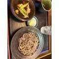 野本 明日香|札幌市 中央区南のニュークラブ|Leicester(レスター)