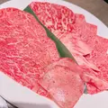 向日葵 ひまり|松戸市 本町のキャバクラ|THEMIS(テミス)