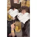 R|北足立郡 伊奈町内宿台のキャバクラ|星-Star-(スター)