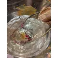 和倉 潤|新宿区 歌舞伎町のラウンジ|LP TOKYO(エルピー トウキョウ)