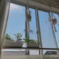 みらい|都城市 牟田町のキャバクラ|Jardin(ハルディン)