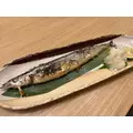 あこ|船橋市 本町のキャバクラ|Donfin(ドンフィン)