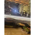 大園 桃子|札幌市 すすきののニュークラブ|P&J(ピーアンドジェイ)