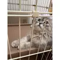 ミヅキ|さいたま市 大宮区仲町のキャバクラ|ai(アイ)