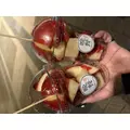 みさ|長崎市 本石灰町のニュークラブ|ADANSONIA(アダンソニア)