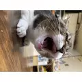 りか|長崎市 本石灰町のキャバクラ|AERA(アエラ)