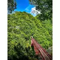 神崎　唯|富山市 桜木町のキャバクラ|美ら 富山(チュラ トヤマ)