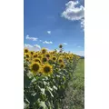うみ|都城市 牟田町のキャバクラ|Bell(ベル)