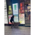 桐島 りゅう|札幌市 すすきののニュークラブ|凛()