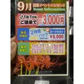 あすな|越谷市 千間台東のキャバクラ|PLATINUM(プラチナム)