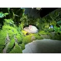 かえで|小山市 駅東通のガールズバー|N3(エヌスリー)