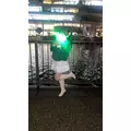 ナオ|小田原市 栄町のガールズバー|& Co.(アンドコー)