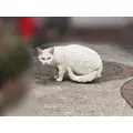 エミ （スタッフ）|海部郡 蟹江町錦のキャバクラ|carthago(カルタゴ)