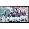 みつき|長崎市 本石灰町のキャバクラ|AERA(アエラ)