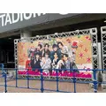 ゆうみ|横浜市 中区福富町のキャバクラ|ROYAL(ロイヤル)