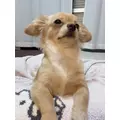 るな|船橋市 本町のキャバクラ|Donfin(ドンフィン)