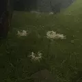 ララ|長崎市 銅座町のキャバクラ|QUEEN(クイーン)