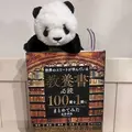せいな|千代田区 内神田のキャバクラ|Lu's Luxe Lounge(ルーズリュクスラウンジ)