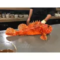 まゆか|海部郡 蟹江町錦のキャバクラ|carthago(カルタゴ)