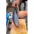 椿|都城市 牟田町のキャバクラ|Jardin(ハルディン)