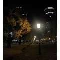 深羽|さいたま市 大宮区仲町のキャバクラ|Luxe(ラグゼ)