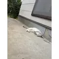 水田 まり|足立区 千住のキャバクラ|The Emperors Club(エンペラーズクラブ)