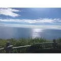 成海 まお|札幌市 すすきののニュークラブ|凛()