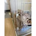 芹奈|さいたま市 大宮区仲町のキャバクラ|ai(アイ)