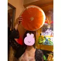 なつの|中野区 東中野のキャバクラ|オレンジ()