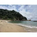 あおい|立川市 錦町の朝・昼キャバ|Mandarin Club（朝・昼）(マンダリンクラブ（朝・昼）)
