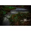 神崎　唯|富山市 桜木町のキャバクラ|美ら 富山(チュラ トヤマ)