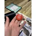 ニコル|鹿児島市 千日町のバニーガールズバー|HAPPY ALICE(ハッピーアリス)