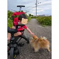 滝宮 あや|名古屋市 中区錦のクラブ|色錦()
