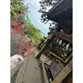 あすか|小山市 駅東通のガールズダーツバー|N3(エヌスリー)
