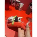 恋麦乃 ちょり|宮崎市 中央通のコンカフェ|Candy Made(キャンディーメイド)