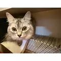芹奈|さいたま市 大宮区仲町のキャバクラ|ai(アイ)
