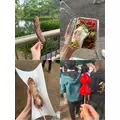 音澄 みすず|札幌市 中央区南のニュークラブ|Leicester(レスター)