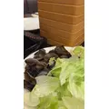 佐野 エマ|札幌市 中央区南のニュークラブ|Leicester(レスター)