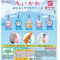 あゆみ|船橋市 本町のキャバクラ|Donfin(ドンフィン)