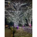 はる|船橋市 西船のキャバクラ|西船橋 Vellugue(西船橋 ヴェルージュ)