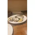 すず|船橋市 本町のキャバクラ|Donfin(ドンフィン)