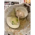 桜井 ここみ|札幌市 中央区南のニュークラブ|Leicester(レスター)